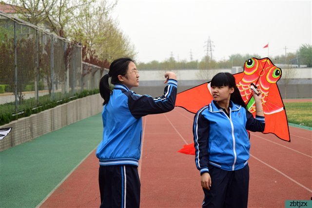 忙趁東風放紙鳶