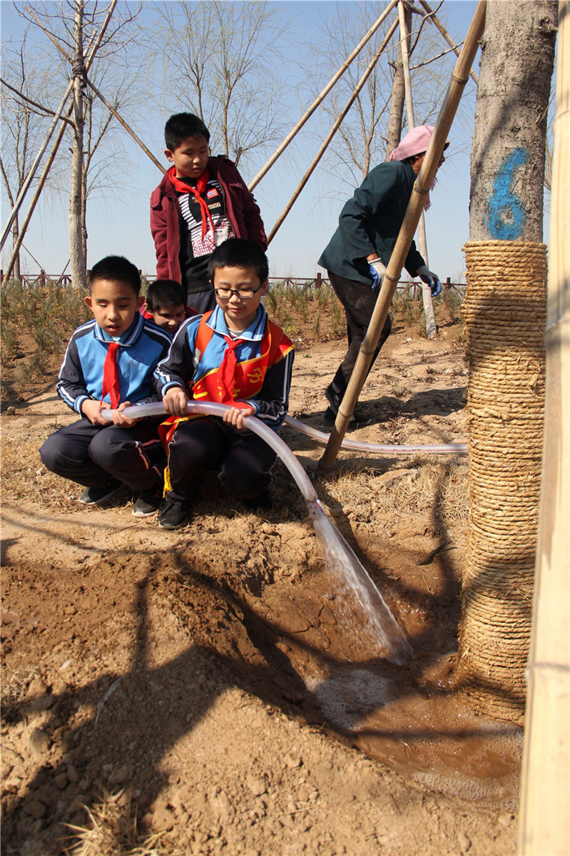 市特教中心組織開展植樹節(jié)志愿服務(wù)活動(dòng)