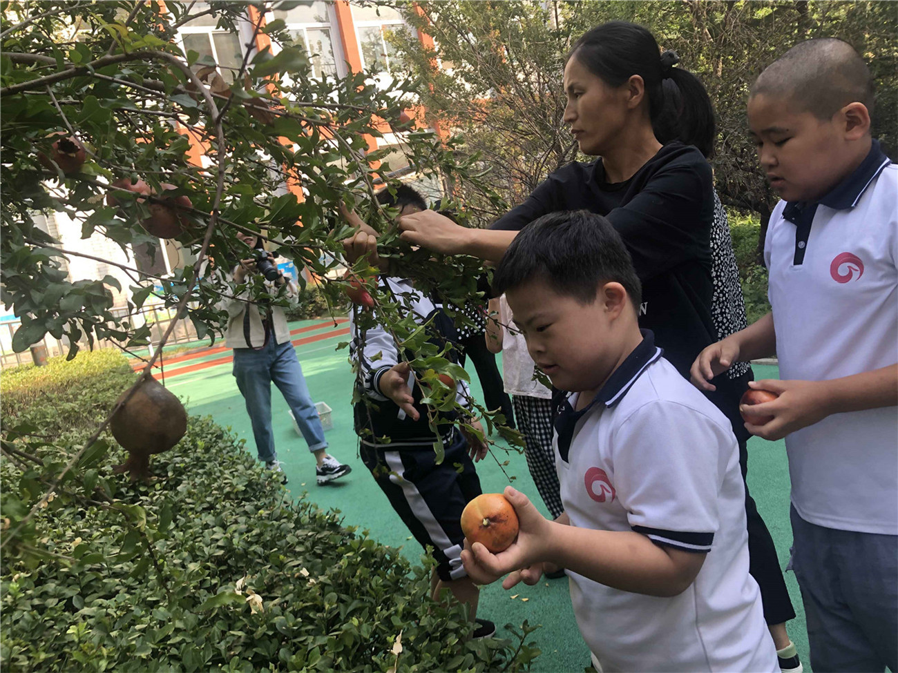 市特教中心開展“秋季采摘節(jié)”主題活動(dòng)