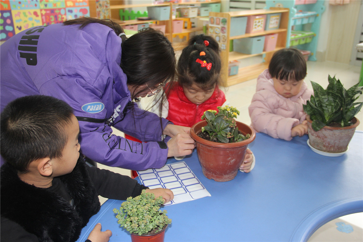 市特教中心開展植樹節(jié)主題活動