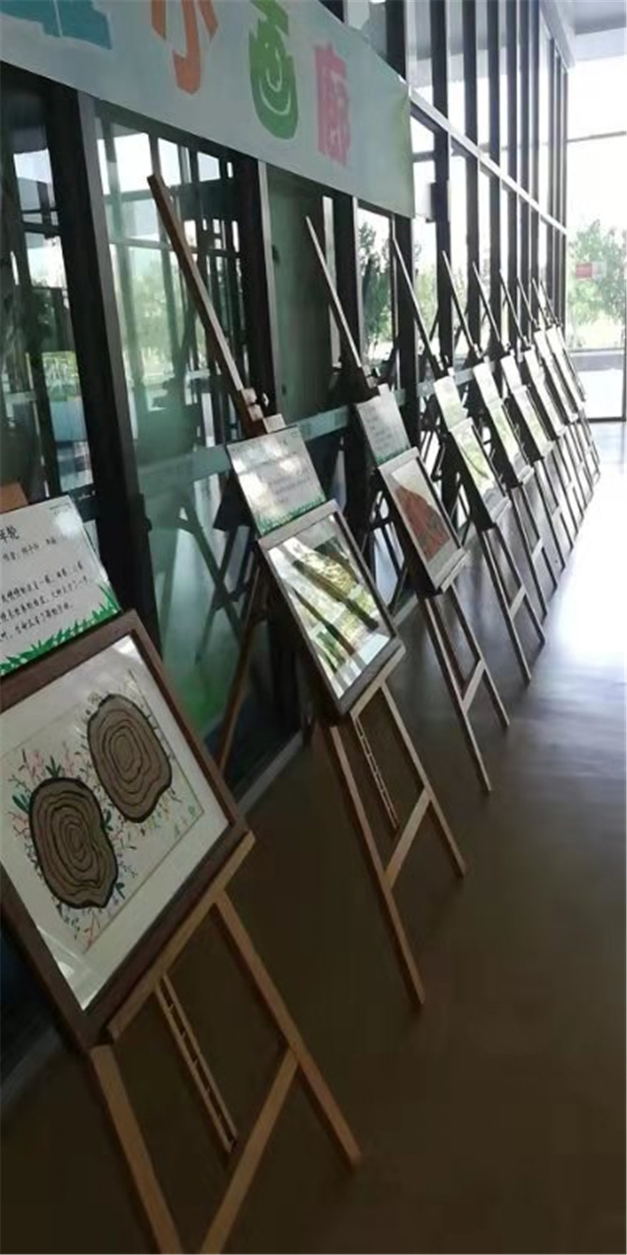 揮灑色彩 展示風采
