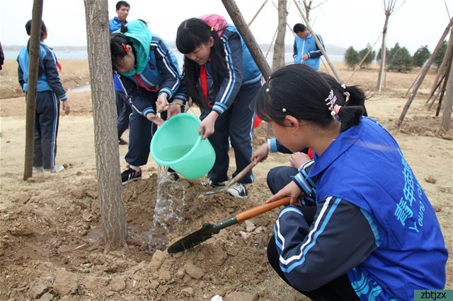 清明祭英烈，志愿護綠行