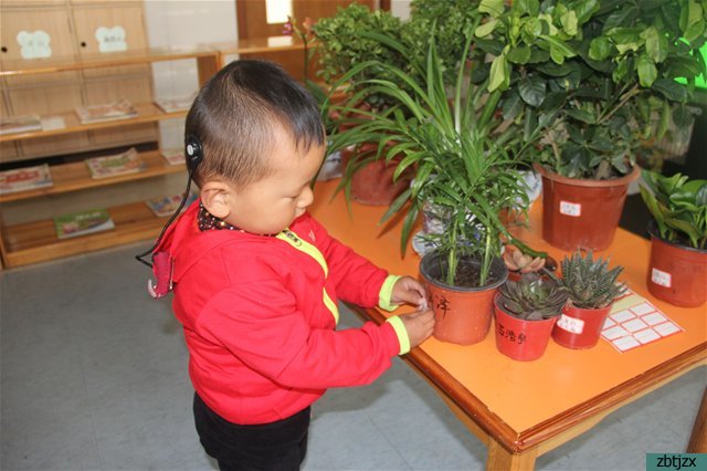 春暖花開季 我與小樹共成長(zhǎng)