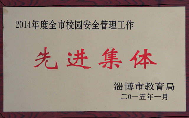 2015學(xué)校集體榮譽