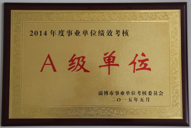 2015學(xué)校集體榮譽