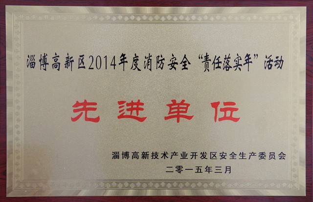 2015學(xué)校集體榮譽